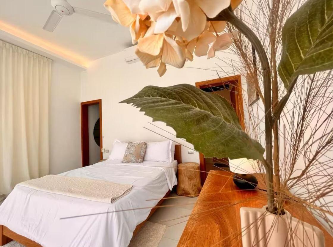 5 Bedroom Villa With Daily Housekeeping Las Terrenas Bagian luar foto
